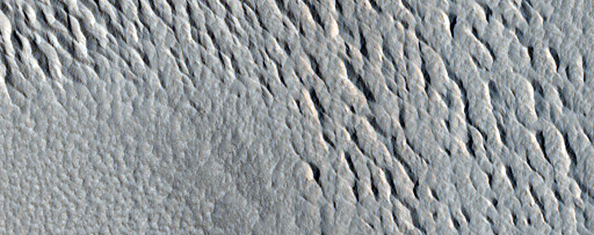Contact Area in North Amazonis Planitia