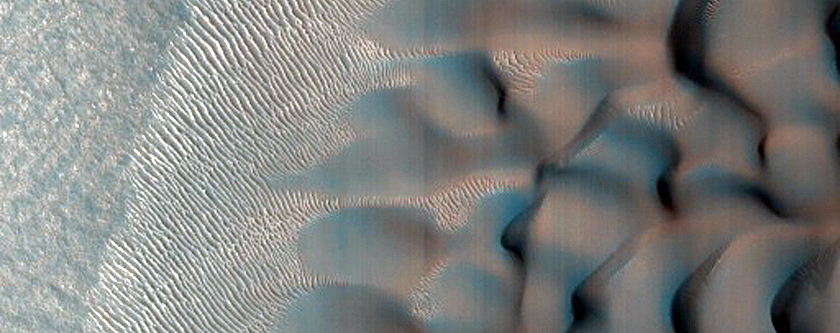 Dune Field in Crater