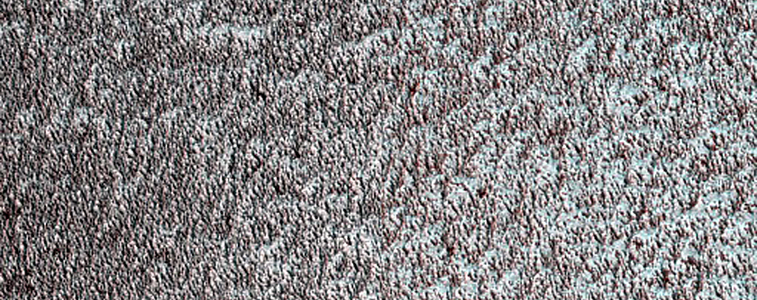 Perennial Ice