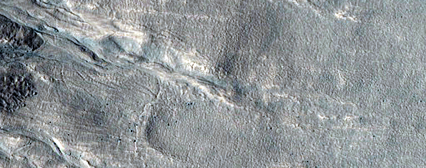 Gullies on Western Wall of Nier Crater