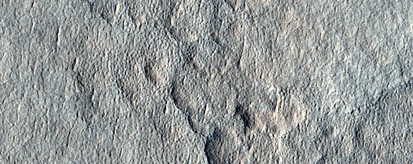 Utopia Planitia Terrain