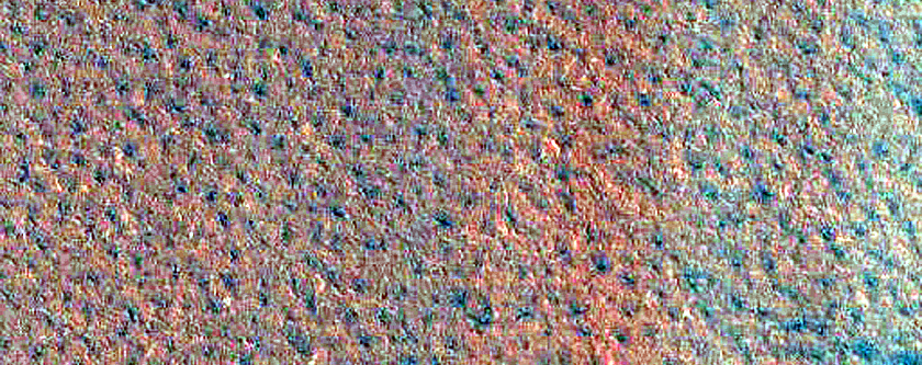 Northern Plains Monitoring