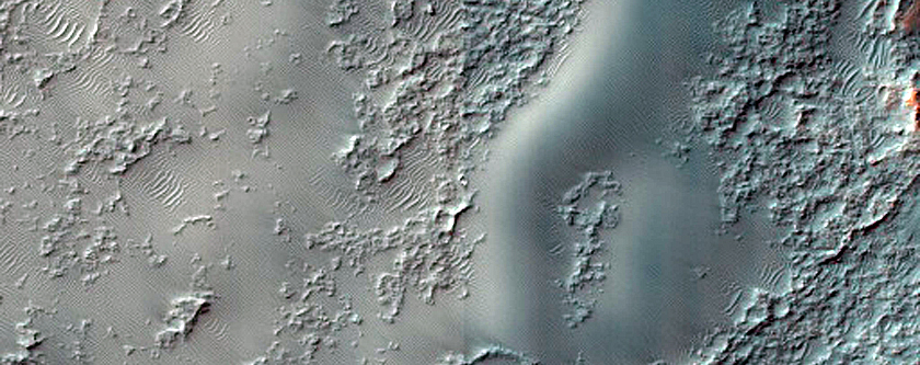 Dune Field Survey