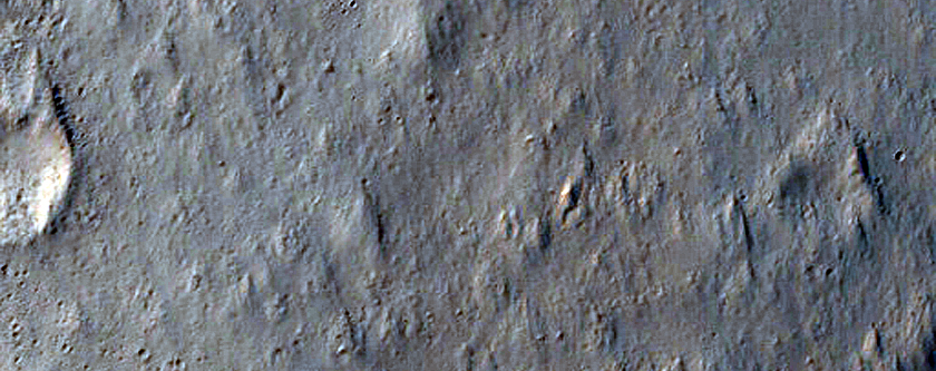 Ridges in Amazonis Planitia and Dust Devil Survey