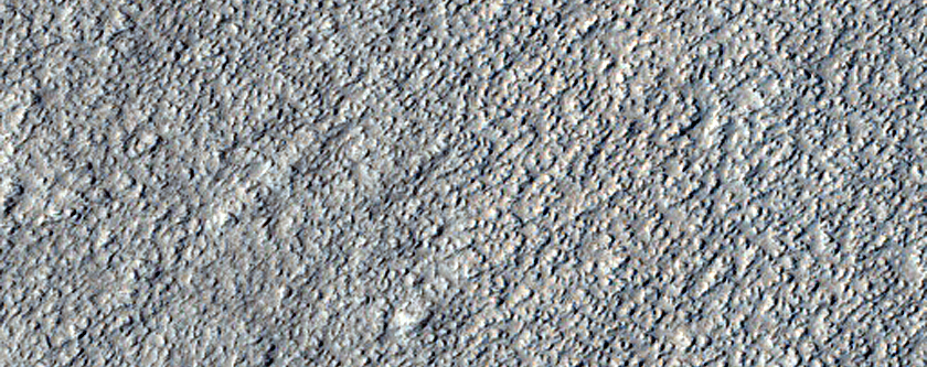 Dust Devil Survey in Amazonis Planitia