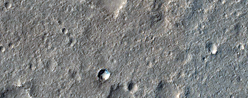 Isidis Planitia