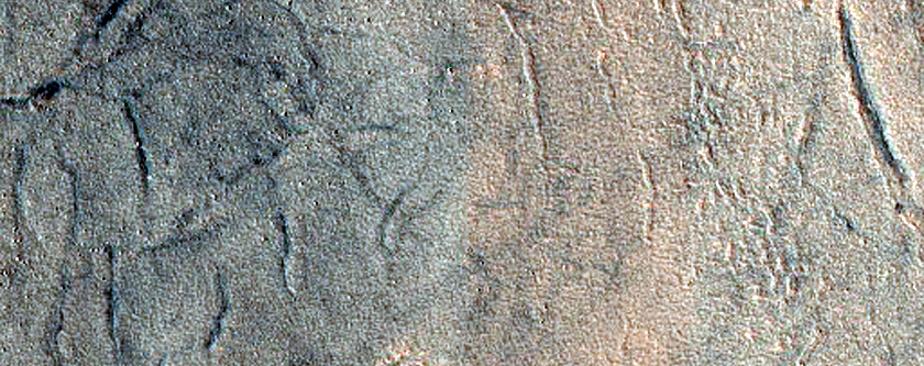 Gully Monitoring