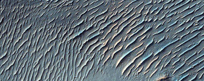 Valley Network Southeast of Aurorae Chaos