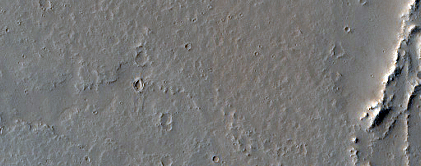 Platy-Ridged Lava