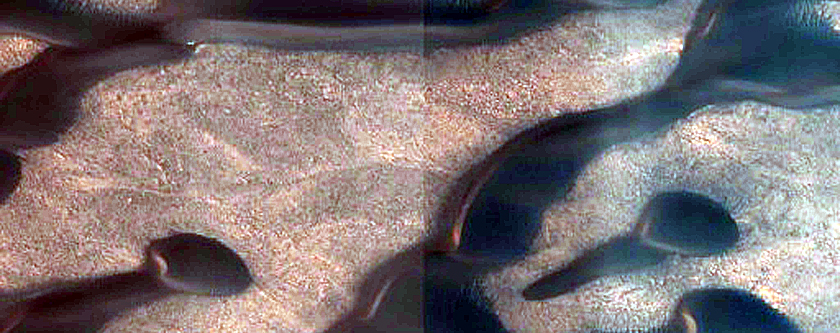 Seasonal Ice-Dune Interactions in Olympia Undae