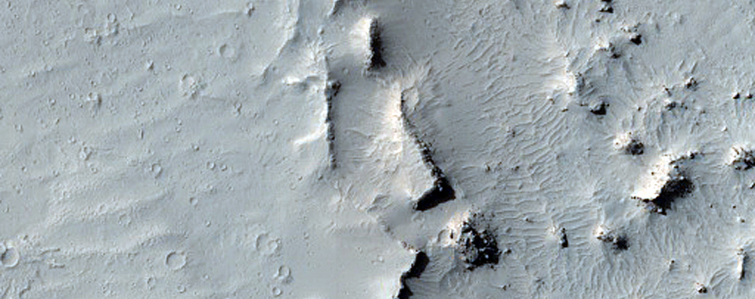 Enigmatic Terrain in Elysium Planitia