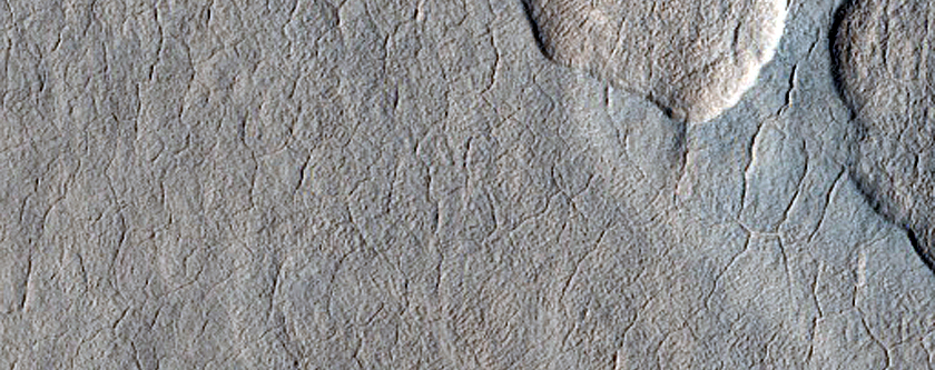 Scalloped Depression Region