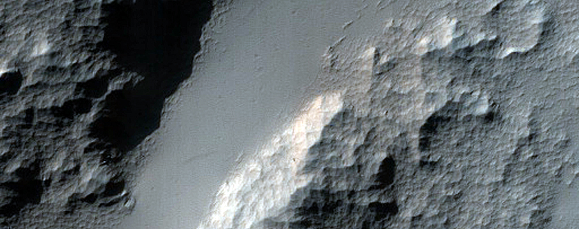 Frost Survey in Steep and Fresh-Looking Crater