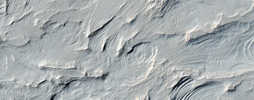 Wavy Terrain