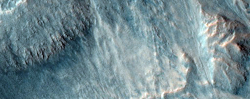 Gully Monitoring