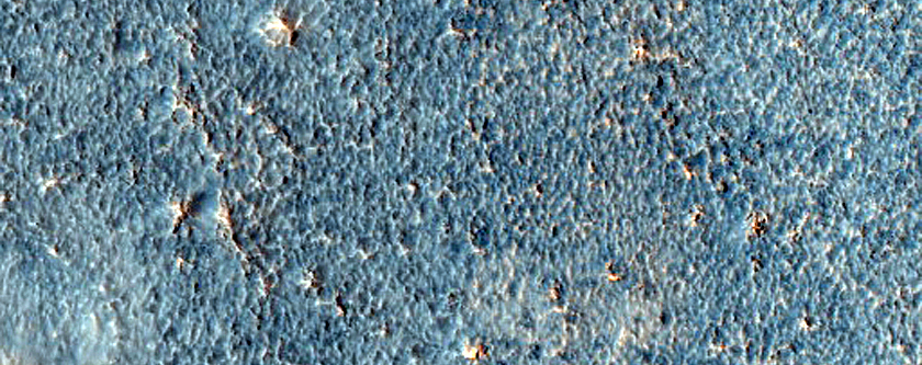Terrain Sample