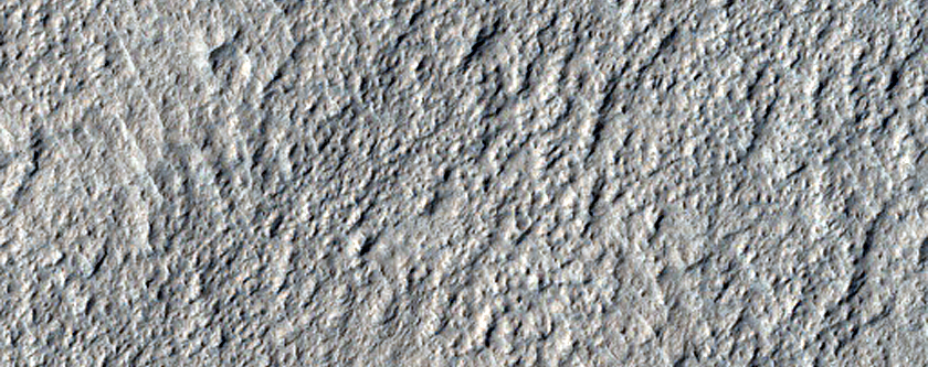 Terrain Sample