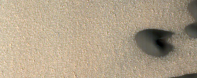 Terrain Sample