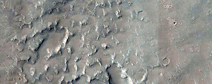 Fan in Crater North of Nepenthes Mensae