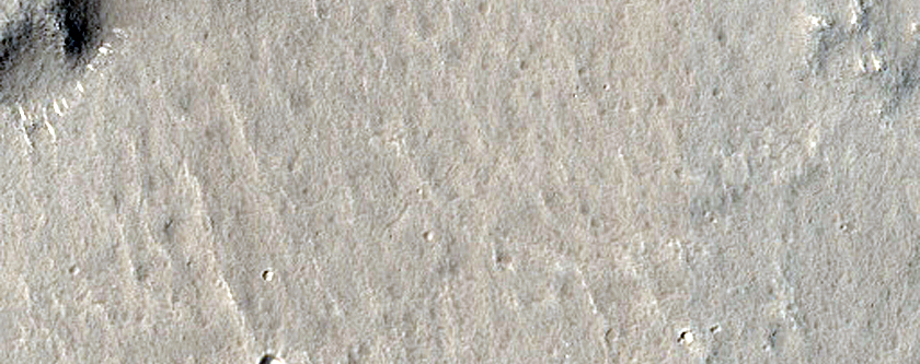 Terrain in Utopia Planitia