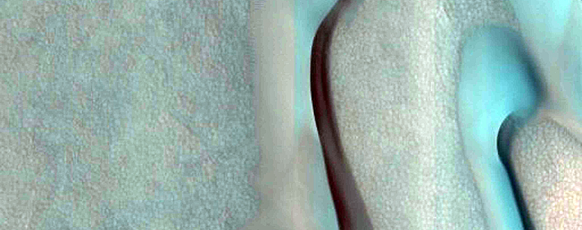 Dune Monitoring in Kunowsky Crater