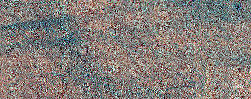 Northern Plains Monitoring