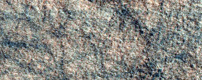 Terrain Sample