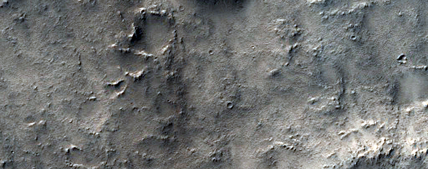 Terrain Sample