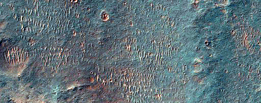 Light-Toned Materials on Elaver Vallis Floor