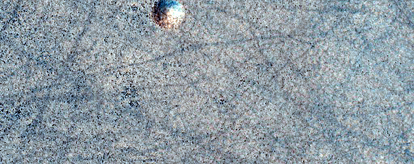 Rocky Terrain Sample