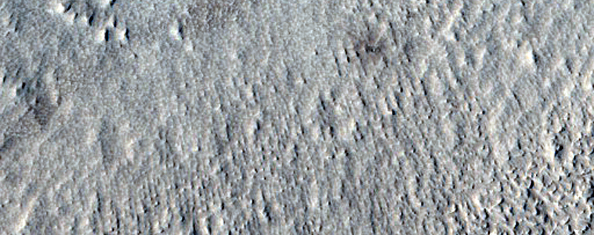 Monitoring New Impact Site