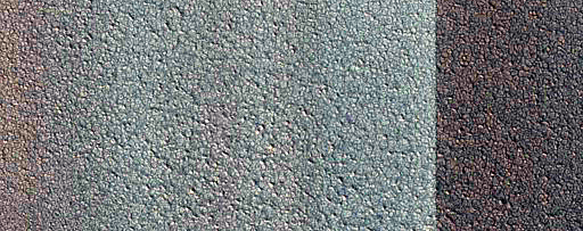 Monitoring Dune Source in West Olympia