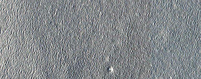 Unit Contact on Northern Plains