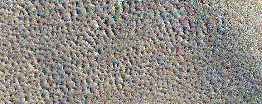 Northern Plains Monitoring