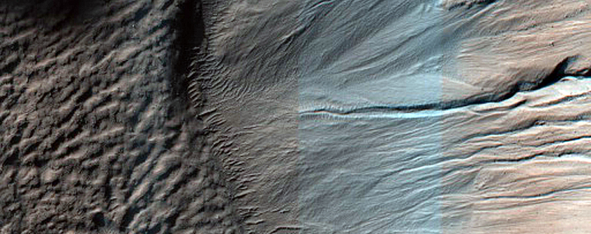 Monitor Frost in Corozal Crater