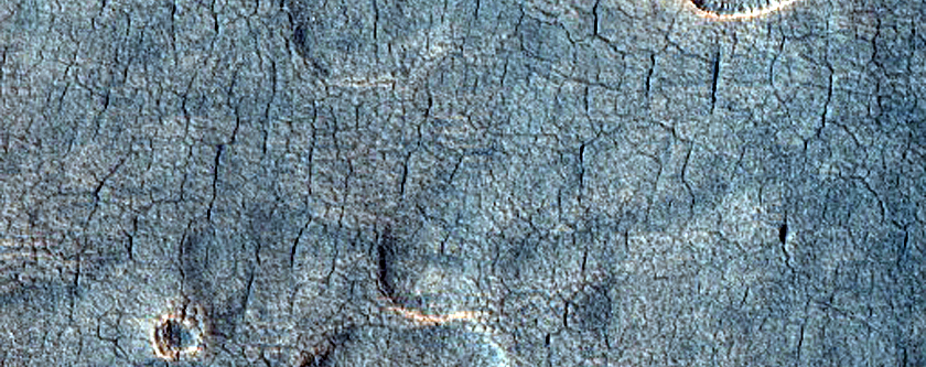 Scalloped Depressions in Utopia Planitia