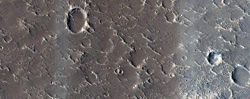 Terrain Sample