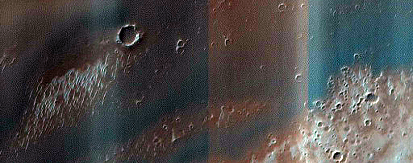 Dune Survey