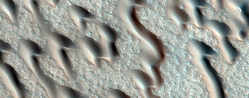 Terrain Sample