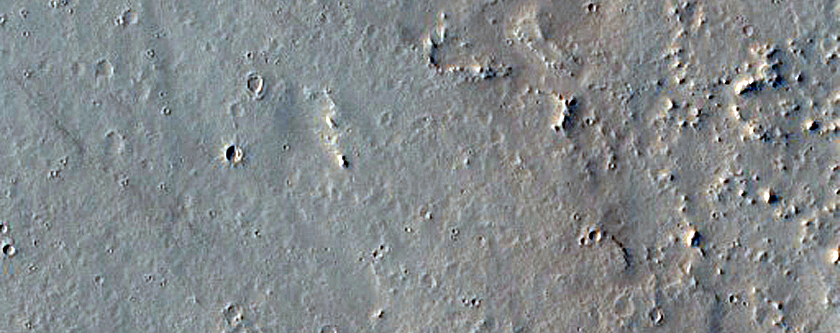 Platy-Ridged Lava