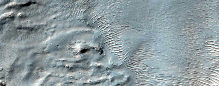 Gully Monitoring