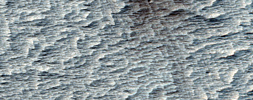 Monitoring New Impact Site