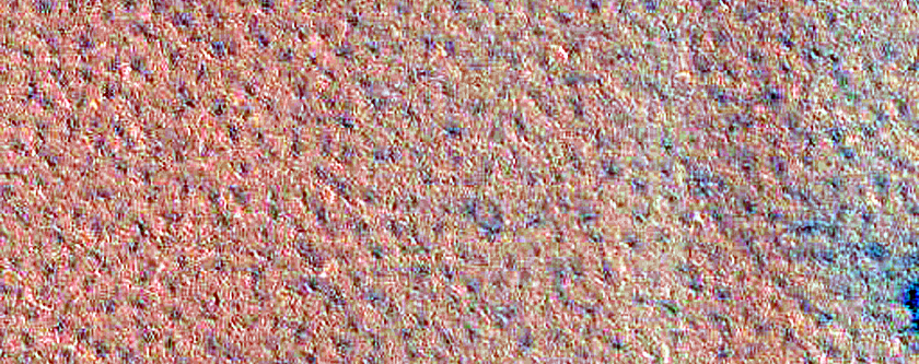 Northern Plains Monitoring