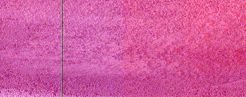 Ice-Sand Transition Area