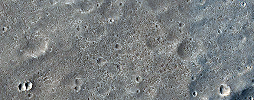 Nepenthes Planum