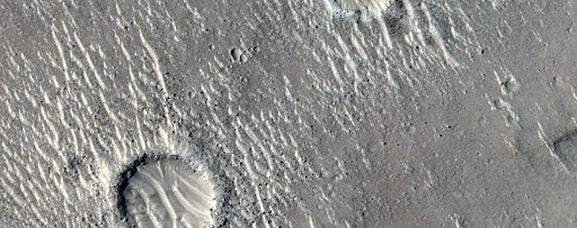 Isidis Planitia