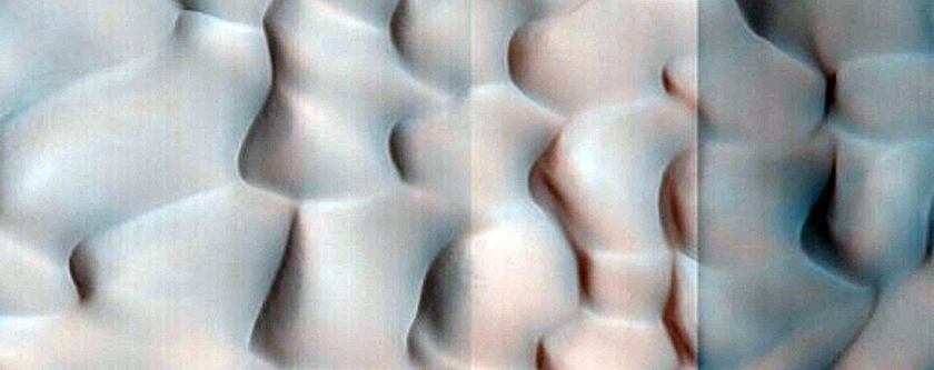 Dune Survey