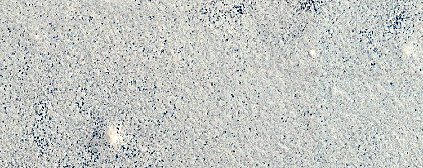 Terrain Sample