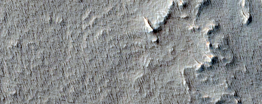 Candidate Recent Impact Site
