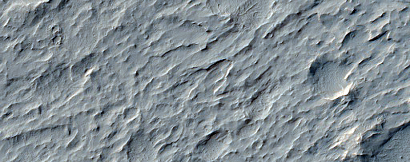 Terrain Sample